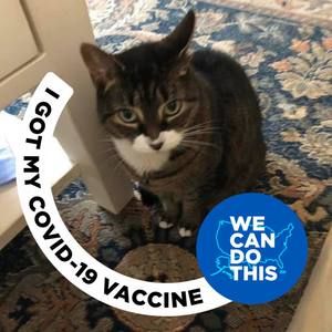 Meet your Posher, Suzanne